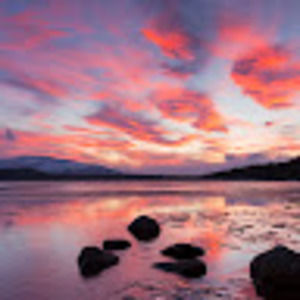 Meet your Posher, Elianna